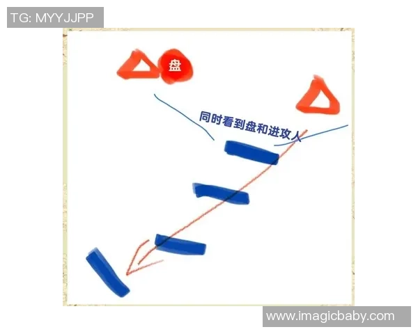 南京飞盘队区域防守策略解析与战术应用探讨