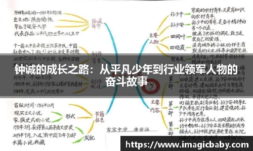 MK体育