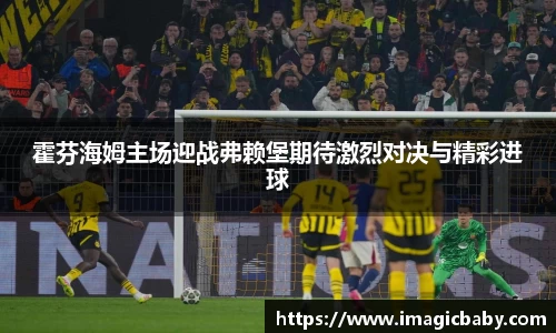 霍芬海姆主场迎战弗赖堡期待激烈对决与精彩进球