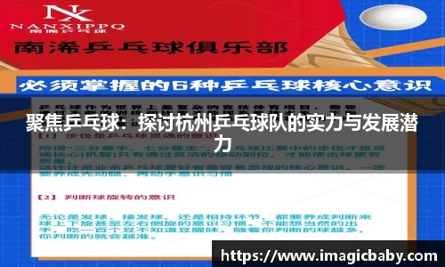 聚焦乒乓球：探讨杭州乒乓球队的实力与发展潜力